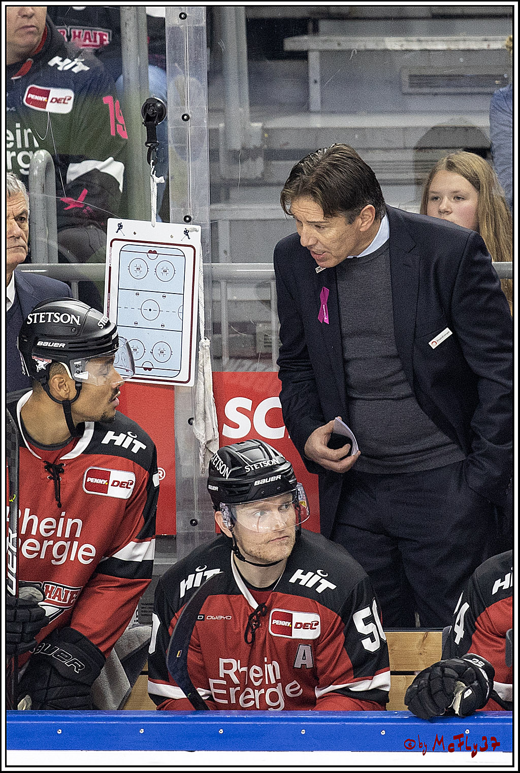 PENNY DEL;  Koelner Haie - Krefeld Pinguine; Koeln, 31.10.2021